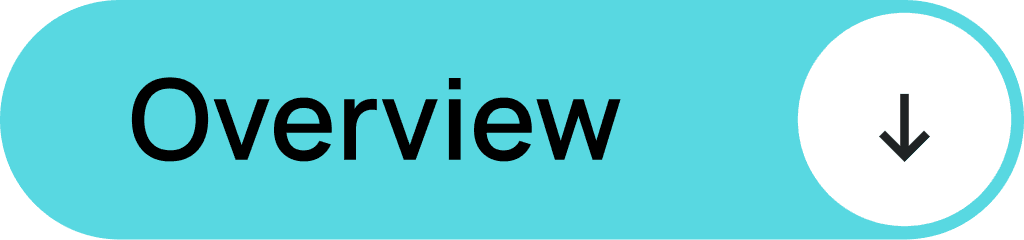 Overview - Dr. NUR AI Project