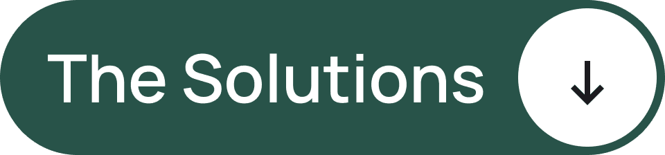 The Solutions - MySentry safety features